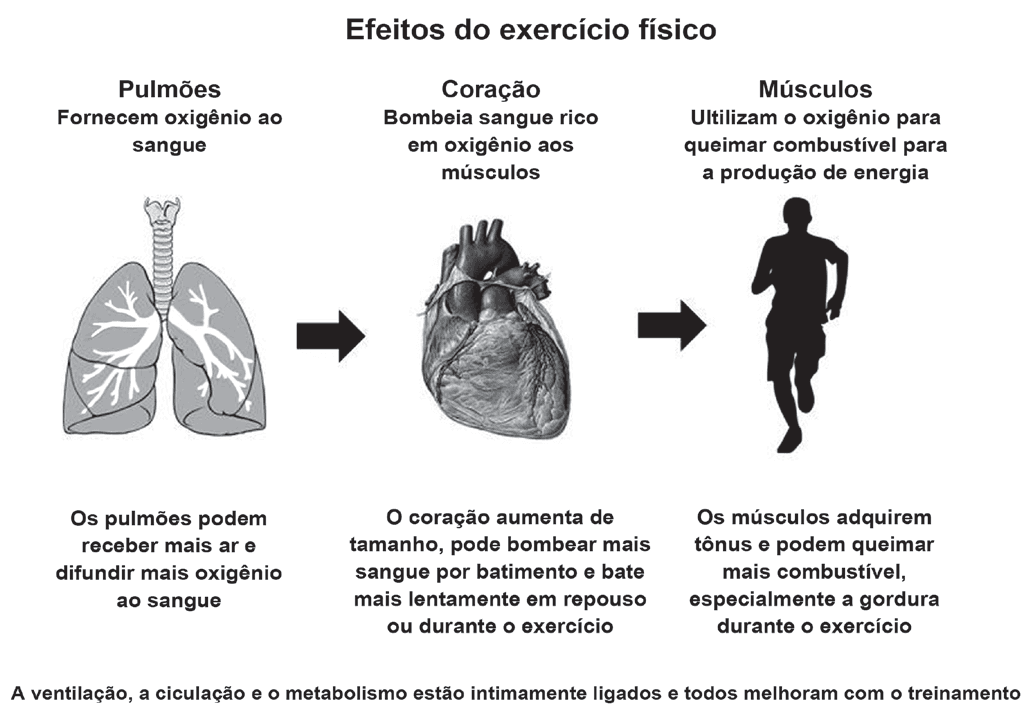 Imagem da questão