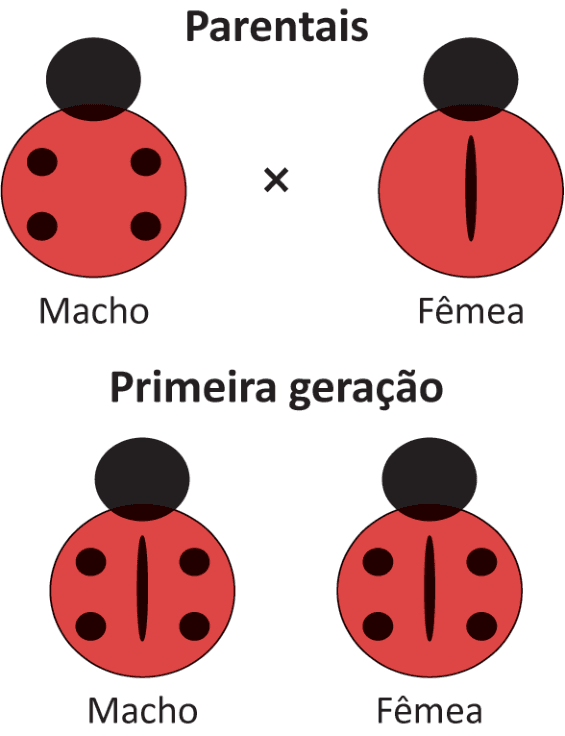 Imagem da questão