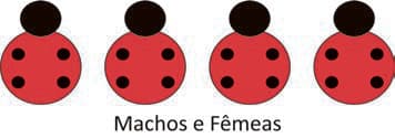 Imagem da alternativa A da questão 107