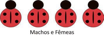 Imagem da alternativa C da questão 107