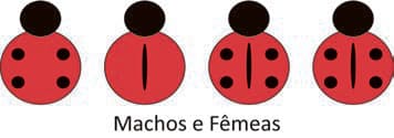 Imagem da alternativa E da questão 107