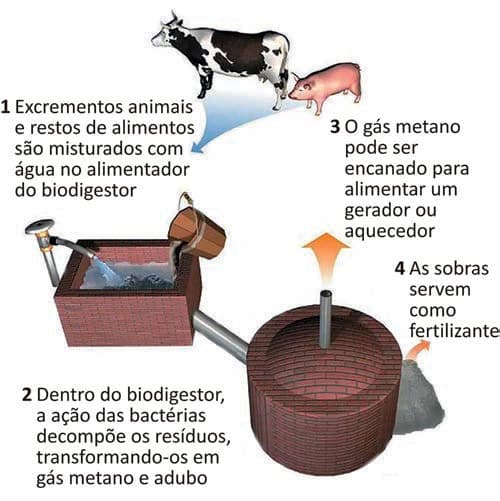 Imagem da questão