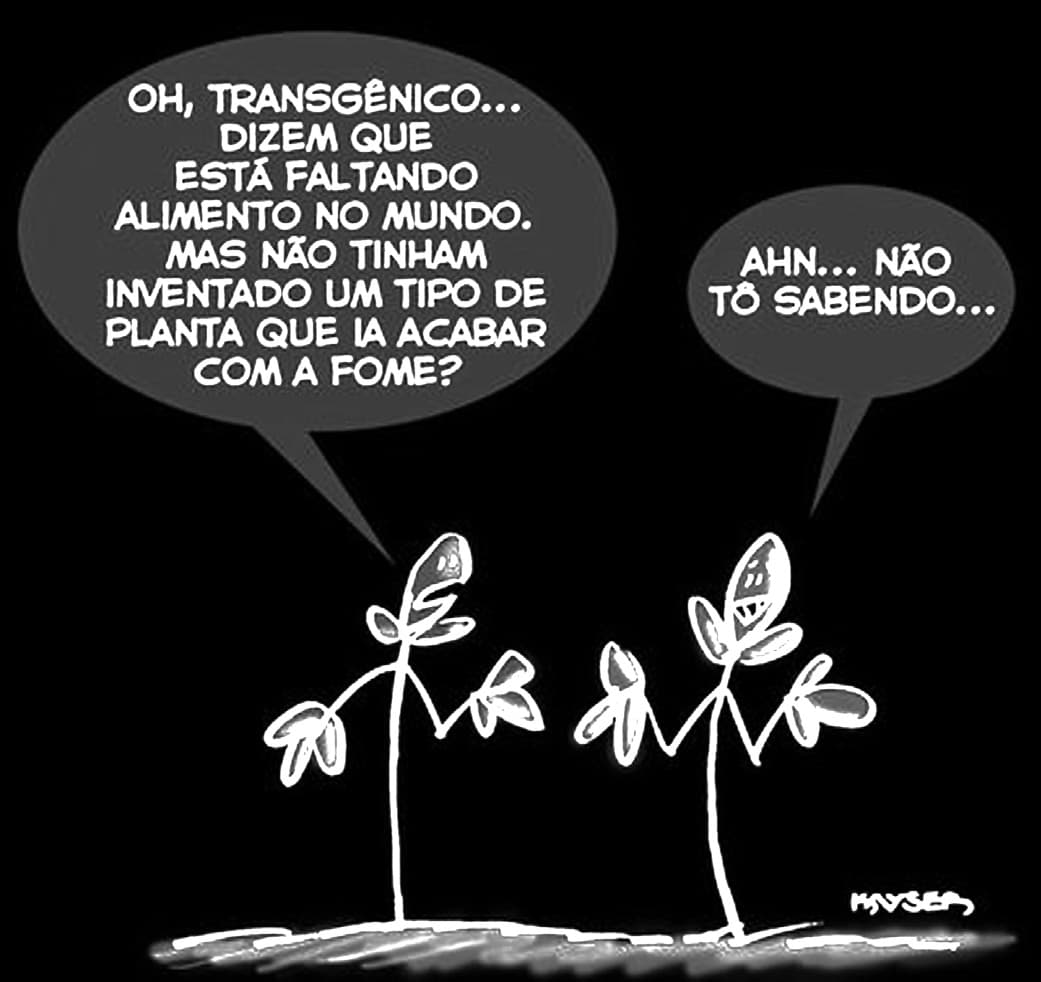 Imagem da questão