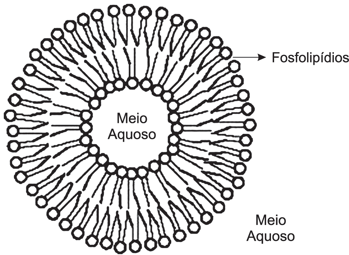 Imagem da questão